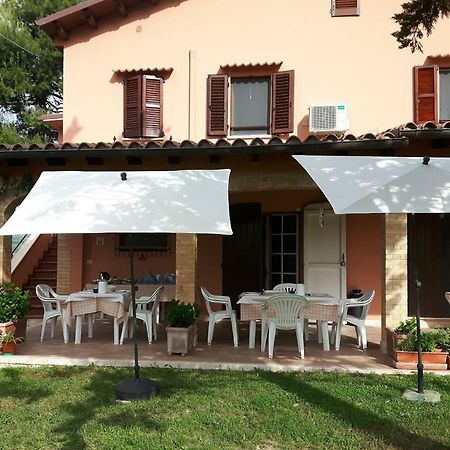 La Casa In Campagna Bed and Breakfast Cossignano Exteriör bild
