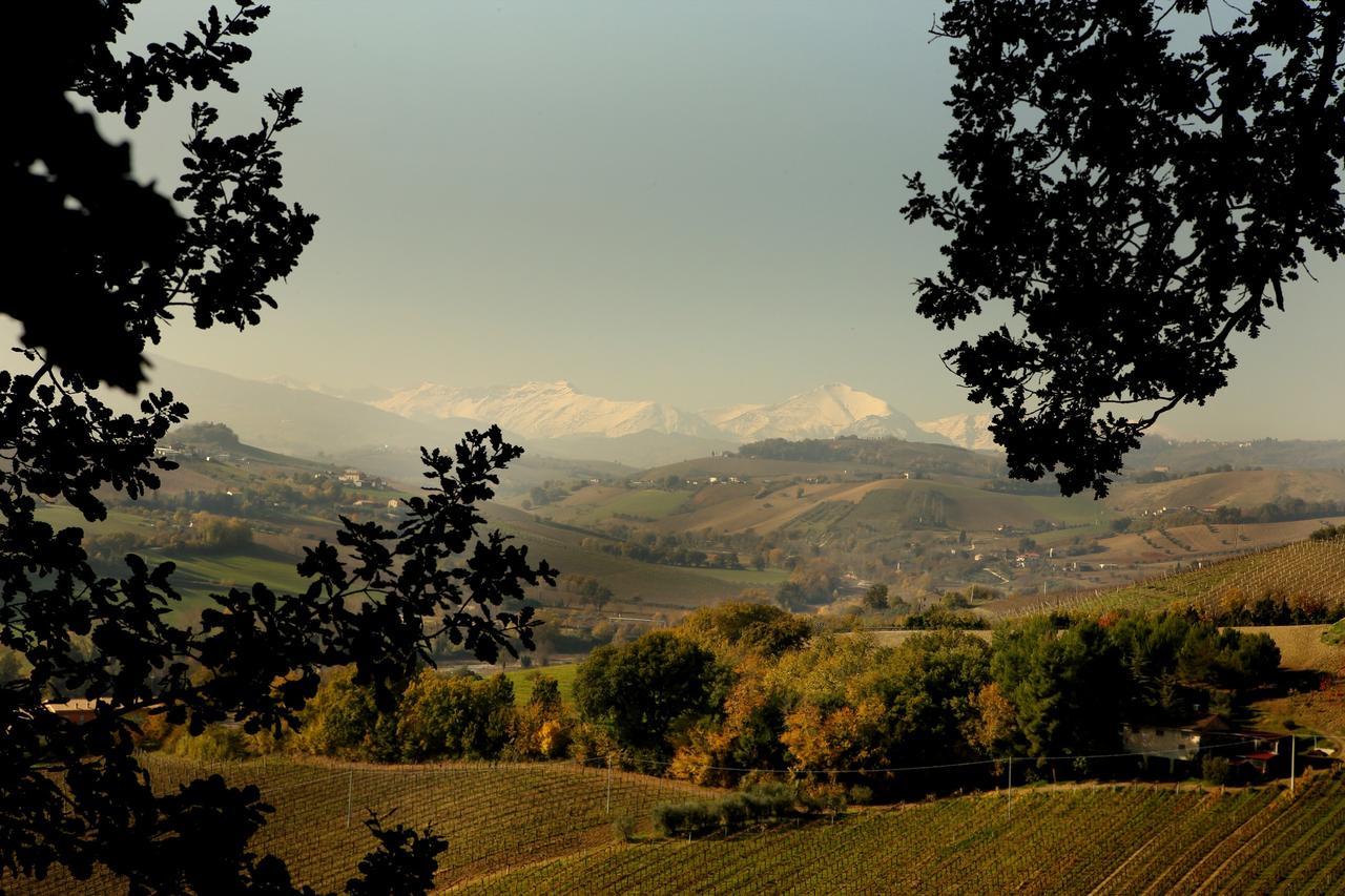 La Casa In Campagna Bed and Breakfast Cossignano Exteriör bild