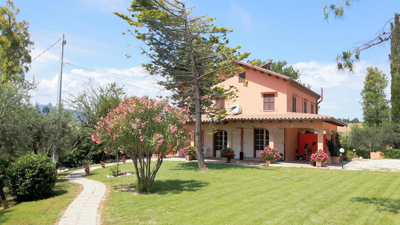 La Casa In Campagna Bed and Breakfast Cossignano Exteriör bild