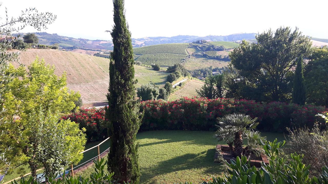 La Casa In Campagna Bed and Breakfast Cossignano Exteriör bild