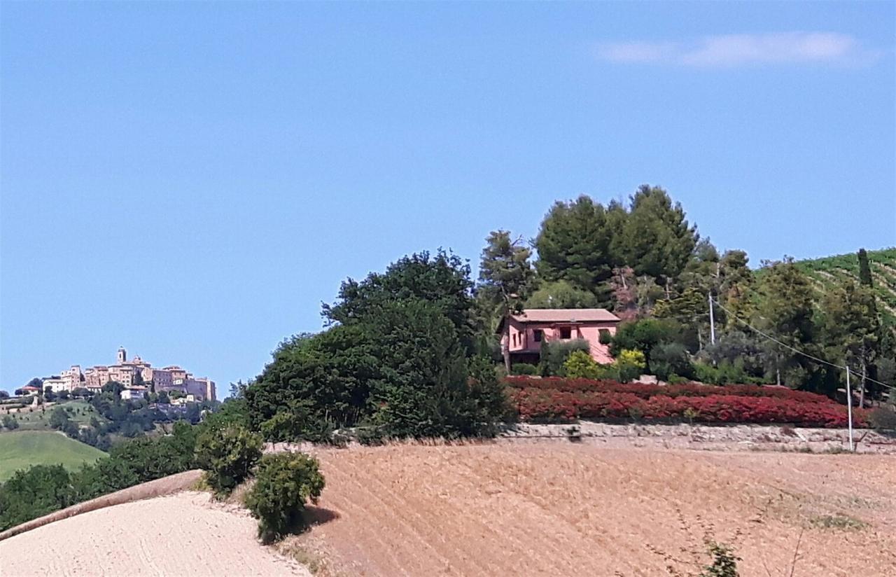 La Casa In Campagna Bed and Breakfast Cossignano Exteriör bild