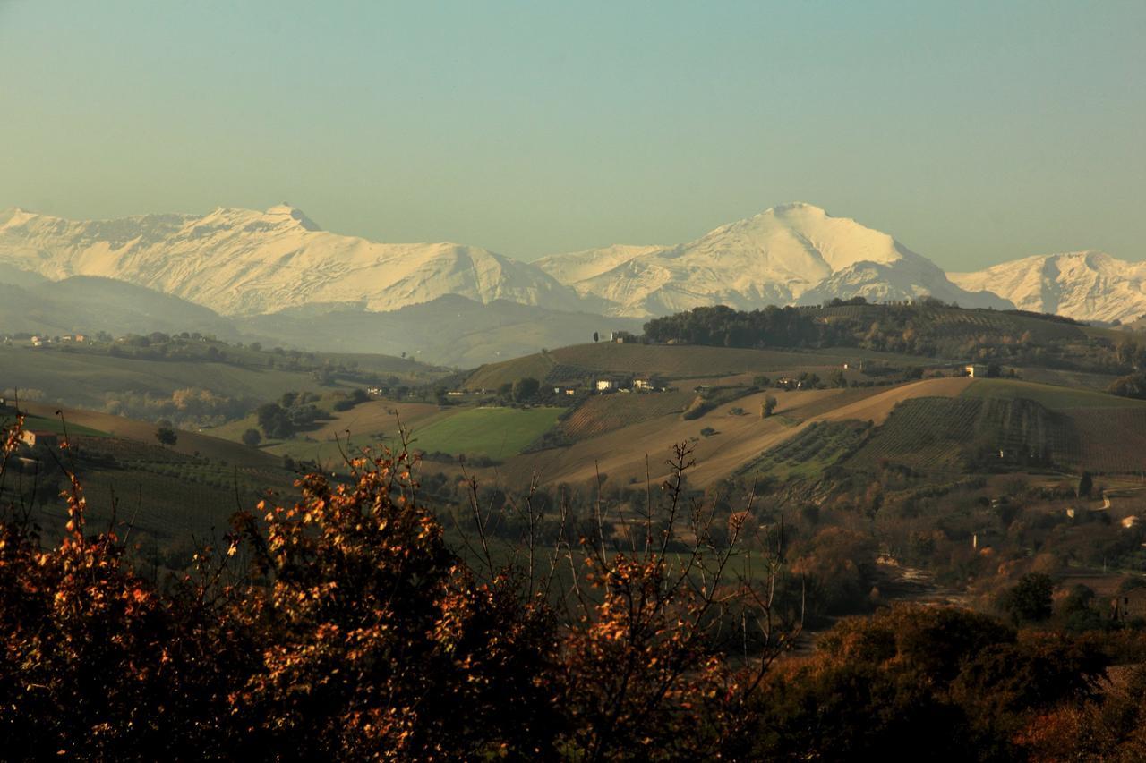 La Casa In Campagna Bed and Breakfast Cossignano Exteriör bild