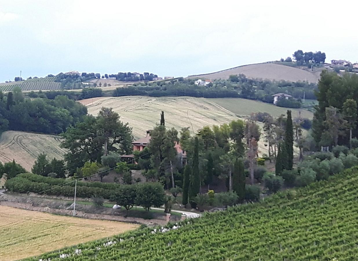 La Casa In Campagna Bed and Breakfast Cossignano Exteriör bild