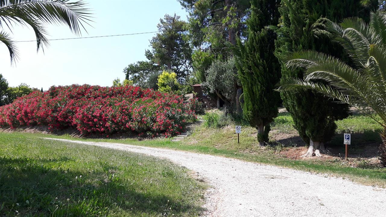 La Casa In Campagna Bed and Breakfast Cossignano Exteriör bild